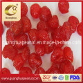 Hot Sale Best Quality Dired Cherry